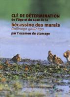 la Clé de détermination de l’âge et du sexe de la bécassine des marais Gallinago gallinago par l’examen du plumage